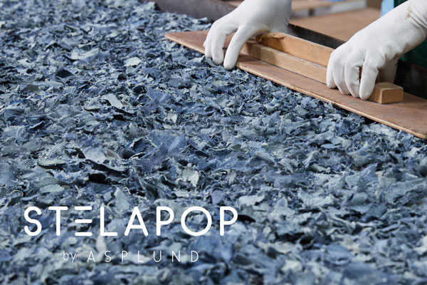 ASPLUND ECO CONSCUIOS -Vol.6 STELAPOP-